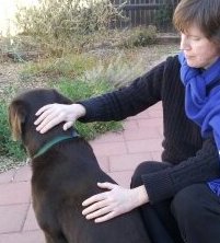 Animal Reiki:  Jan Fiore offers Reiki to dog